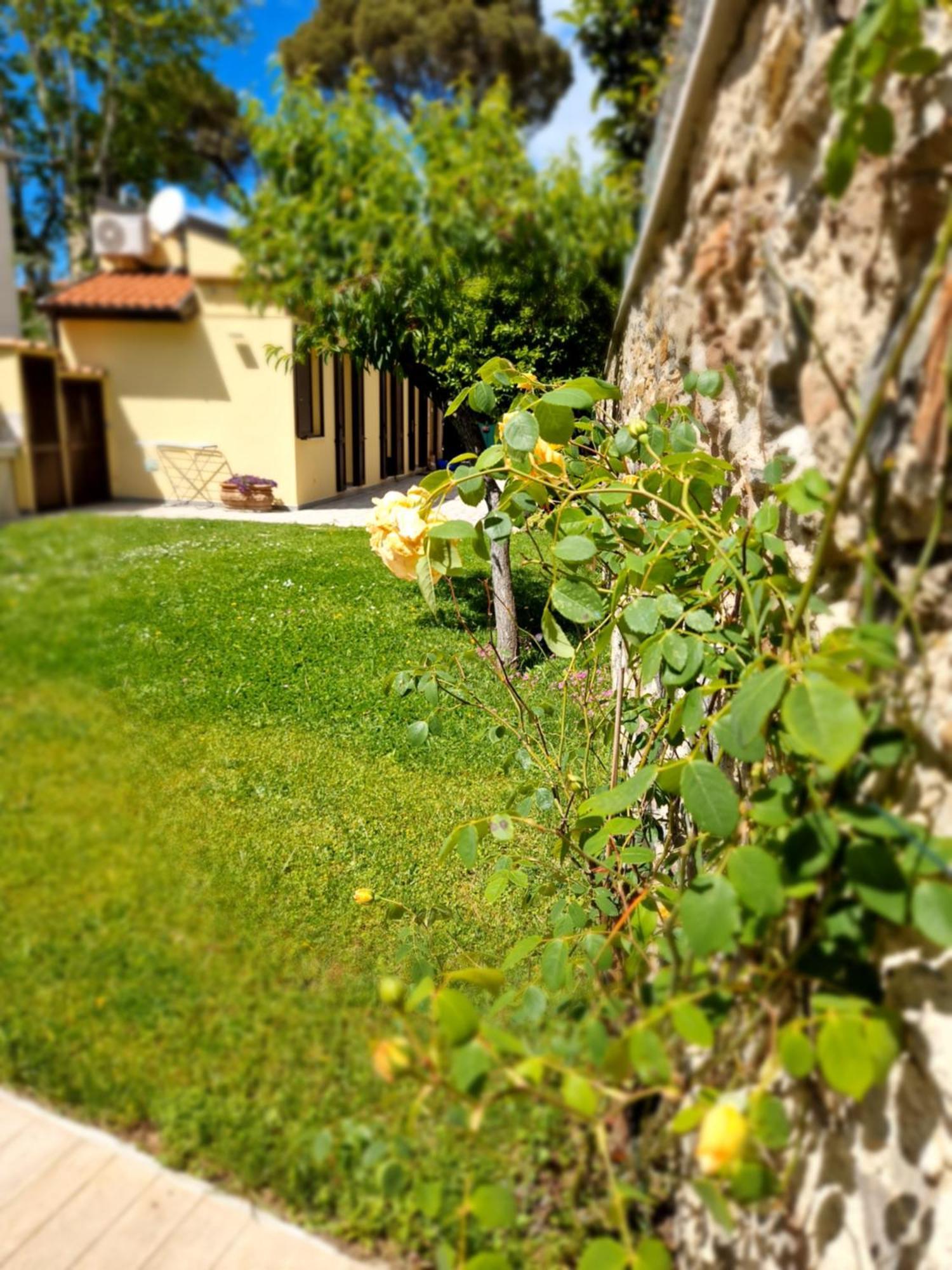 Serra Di Mare Casa Con Giardino Livorno Esterno foto